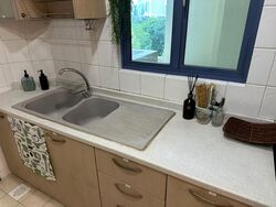 Sanctuary Green (D15), Condominium #587542731